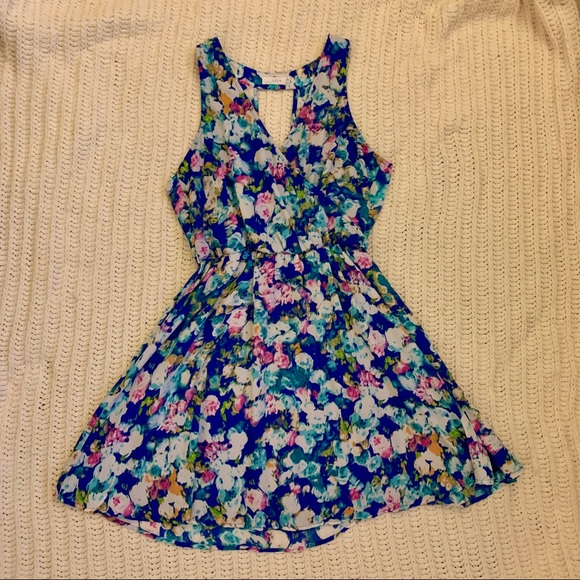 Lush floral skater dress